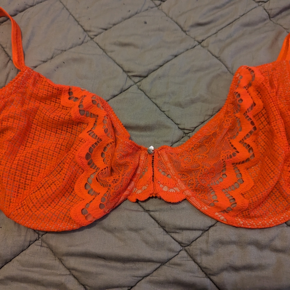 Heidi Klum 34G bra